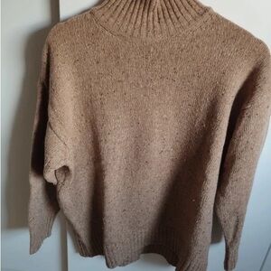 Zara Tan Turtleneck Sweater